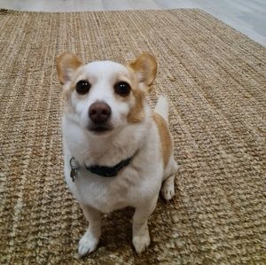 Meet your Posher, Susanne